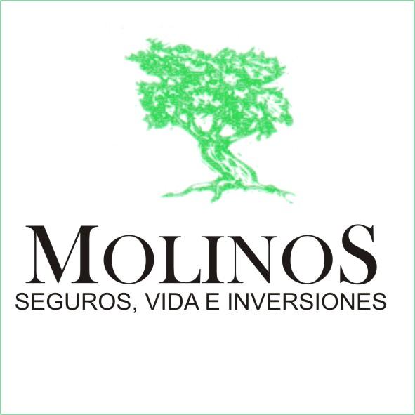 MOLINOS, AGENTES DE SEGUROS Y GESTION