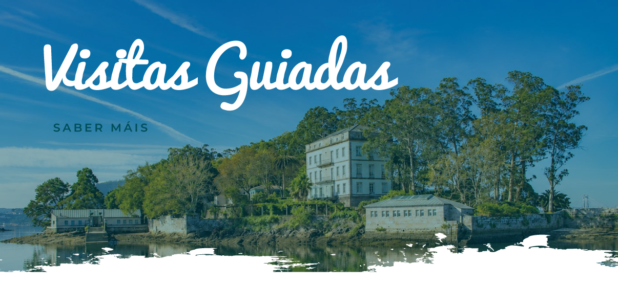 BANNER-WEB-CARRUSEL-VISITAS-GUIADAS.png